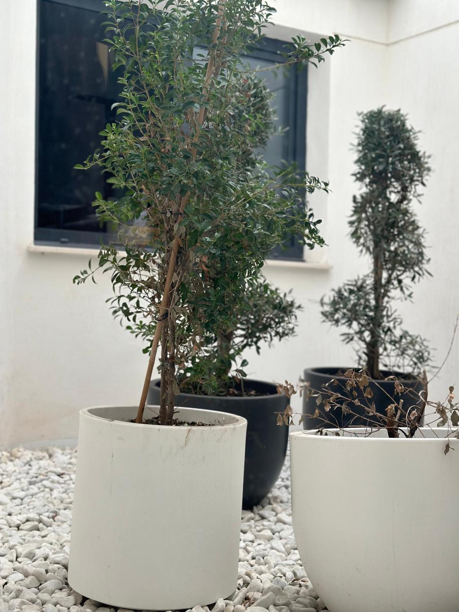 Hostel Alicante A-Cero Living エクステリア 写真