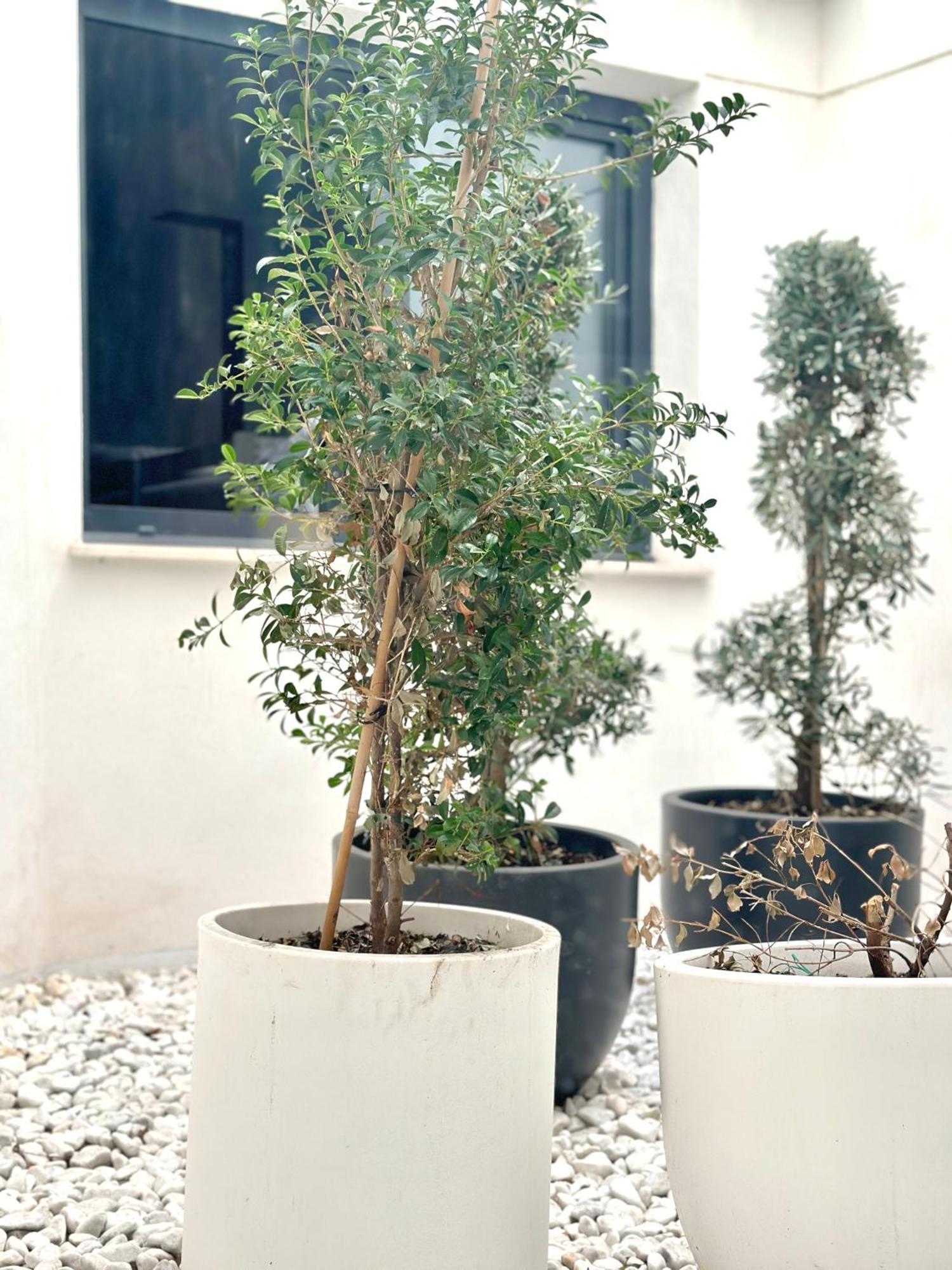 Hostel Alicante A-Cero Living エクステリア 写真